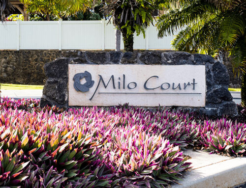 Milo Court at Kehalani