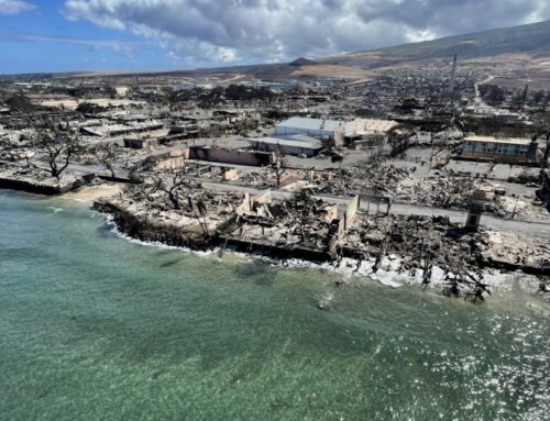 Report Urges Action to Prevent Future Wildfire Disasters